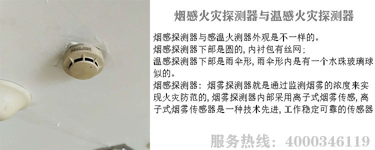 黄片91免费视频探测器